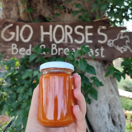 Gio Horses B&B 산니칸드로 가르가니코 외부 사진
