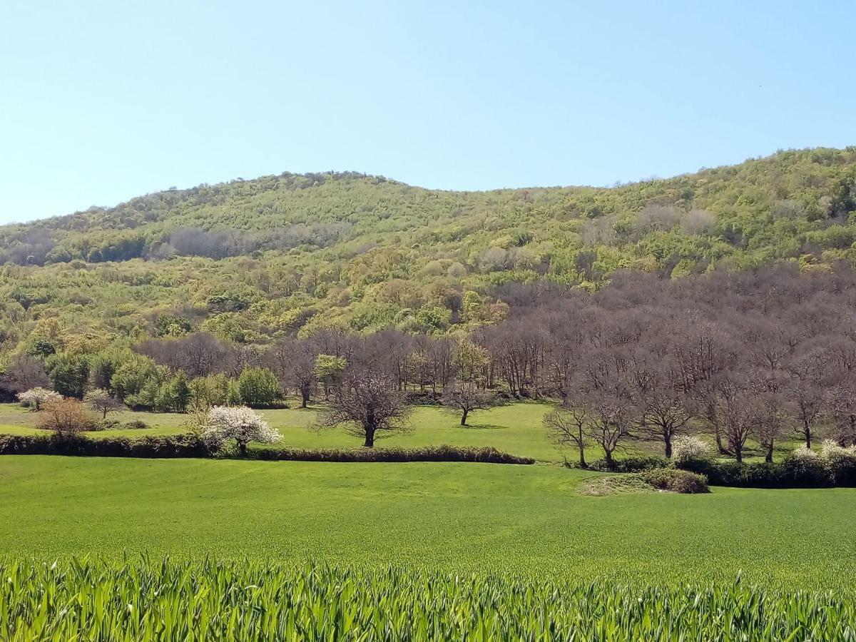 Gio Horses B&B 산니칸드로 가르가니코 외부 사진