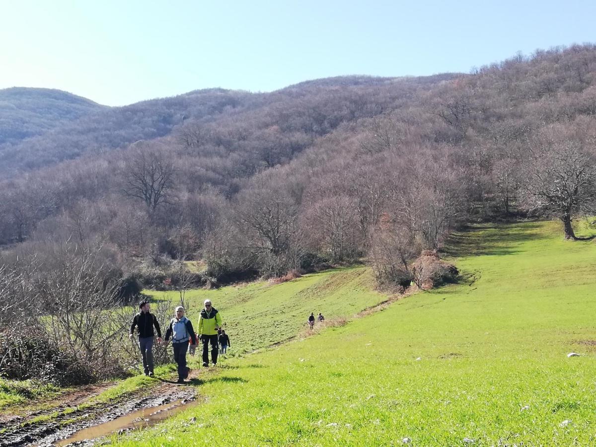 Gio Horses B&B 산니칸드로 가르가니코 외부 사진